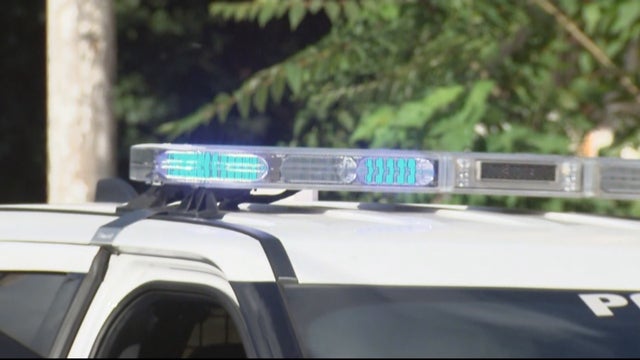 police-lights-day.jpg 