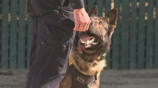 chp-k9-graduation.jpg 