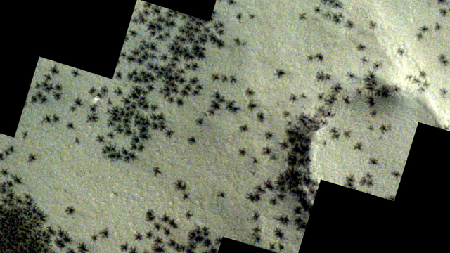 screenshot-2024-04-25-110853.jpg 