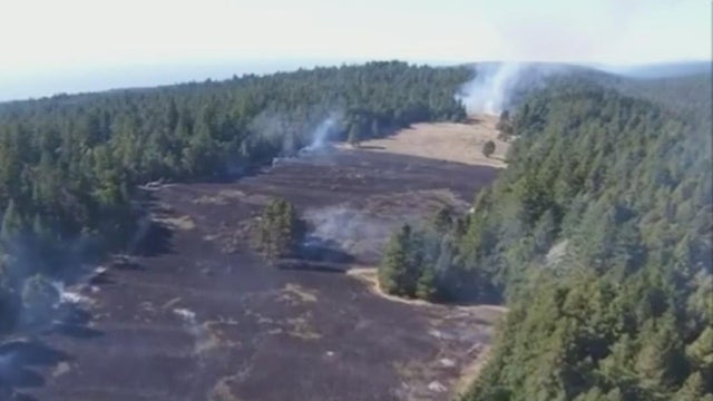 california-forest-fuel-break.jpg 