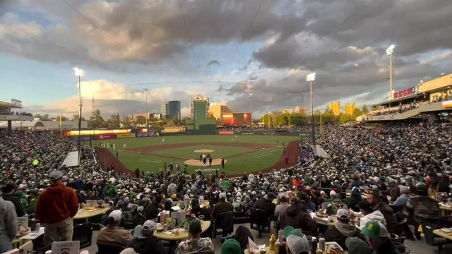 for-web-as-home-opener.jpg 