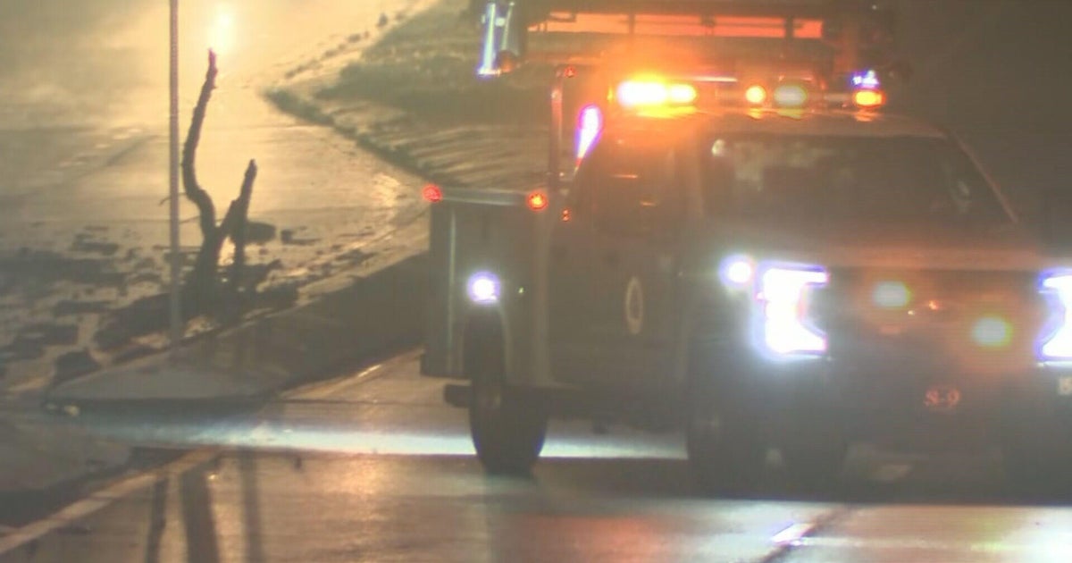 Tree strikes SUV during storm in Wilmington, killing woman and injuring man 