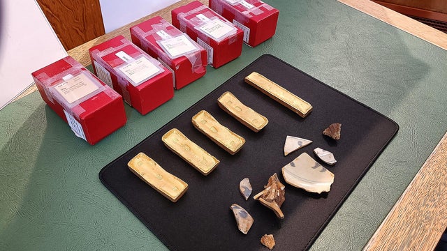 FRANCE-US-HISTORY-ARCHAEOLOGY-INVESTIGATION 